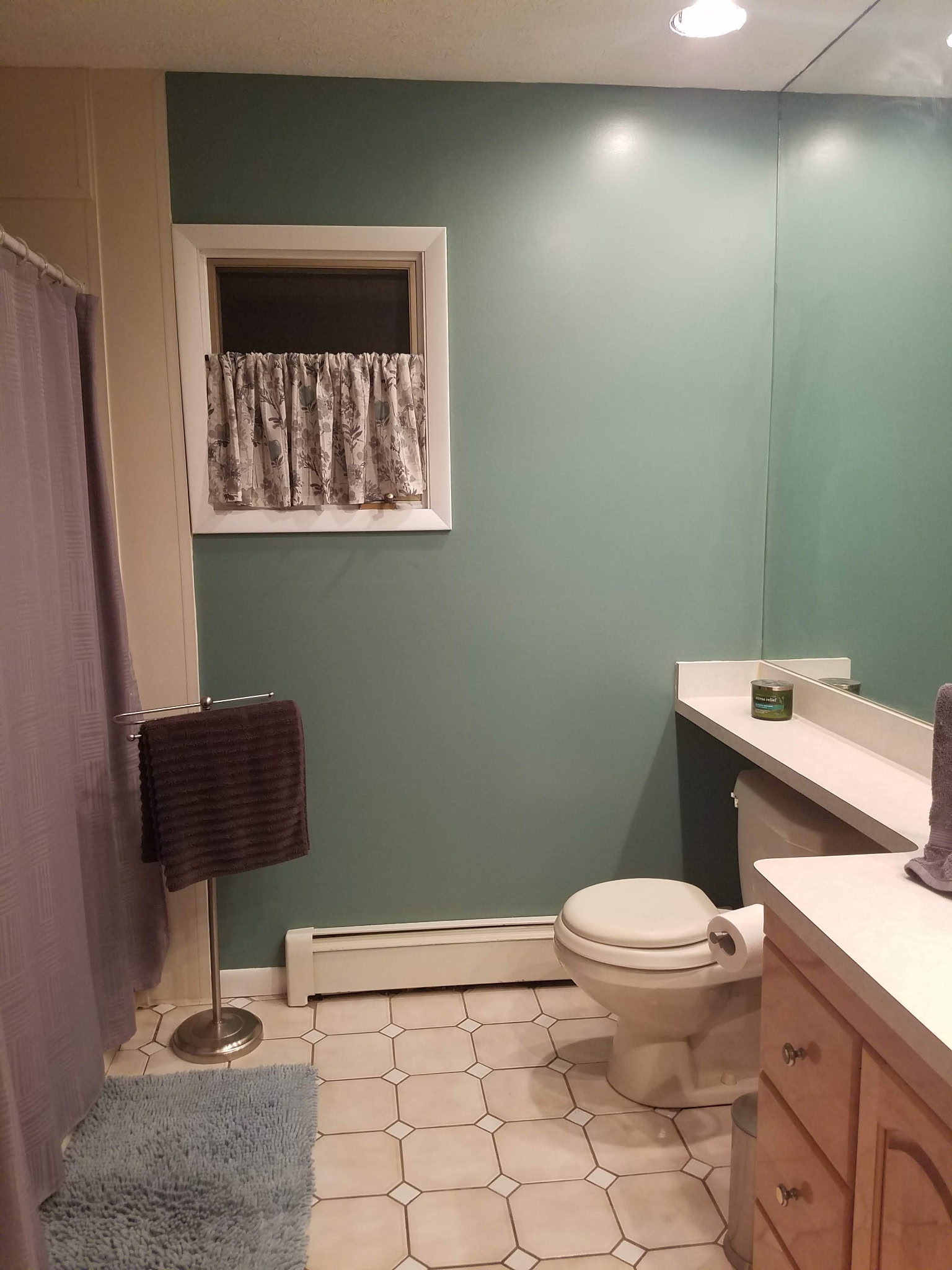 Bathroom Remodel 2 (before)