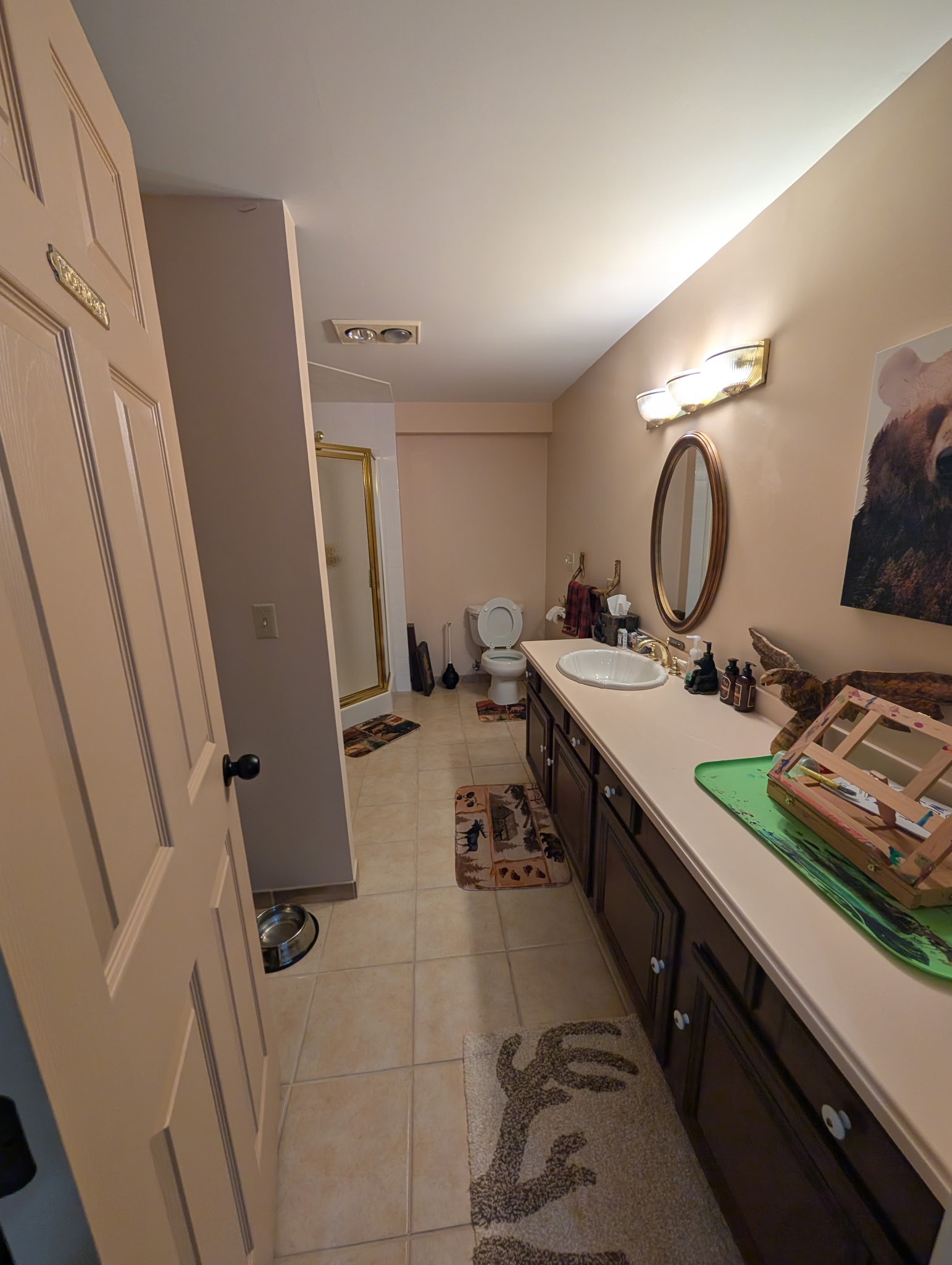Bathroom Remodel 1 (before)